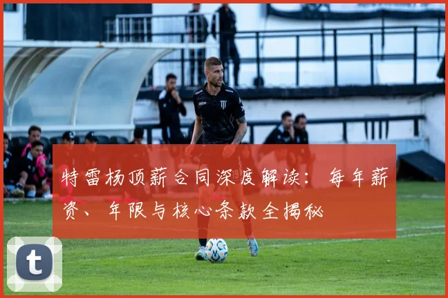 特雷杨顶薪合同深度解读：每年薪资、年限与核心条款全揭秘